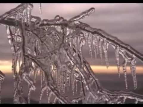 Rosaflavia - 'A Cerqua