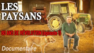 Paysans en révolte : plongée dans 60 ans de révolution agricole en France - Épis