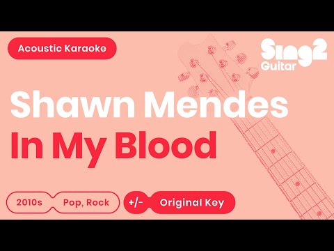 In My Blood (Acoustic Guitar Karaoke Instrumental) Shawn Mendes