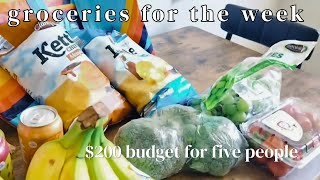 weekly grocery haul at Aldi & Trader Joes
