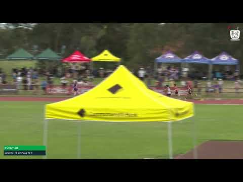 U11 Mixed 4x100m Timed Final 2 - 2024-25 Commonwealth Bank State Relay Championships