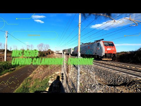 MRS 56303 Livorno Calambrone - Frosinone