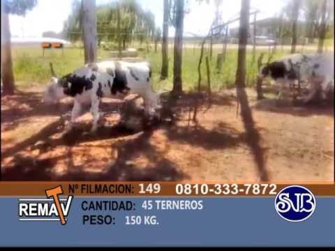 SAENZ VALIENTE BULLRICH CIA & S.A.