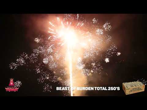 1667 BEAST OF BURDEN TOTAL 250'S