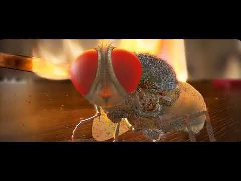 En valvum EN Savum    NAAN EE Movie song.