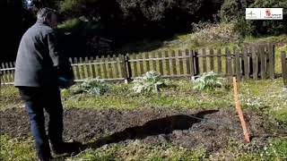 Huerto Ecológico - 2º entrega