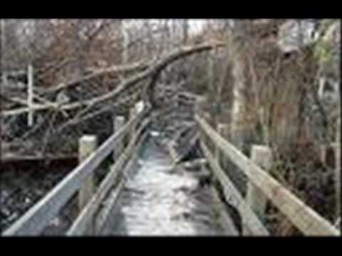 la natir BAD DILEM.wmv