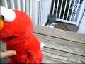 Elmo