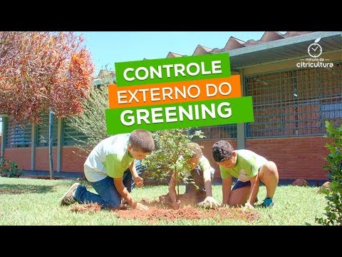 Engajando futuras gerações na luta contra o greening