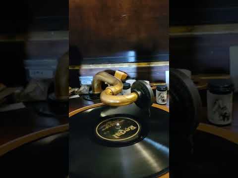 You'll Never go to Heaven with Those Eyes - Sam Lanin's Orchestra Regal Records #9679 1924