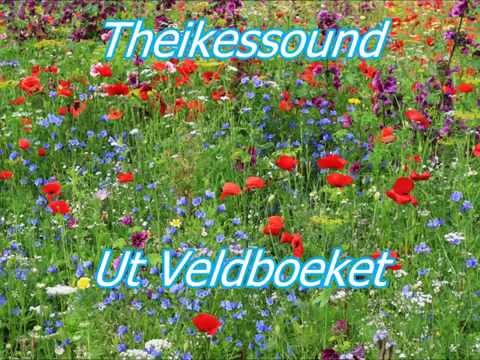 Theikessound mit:  Ut Veldboeket