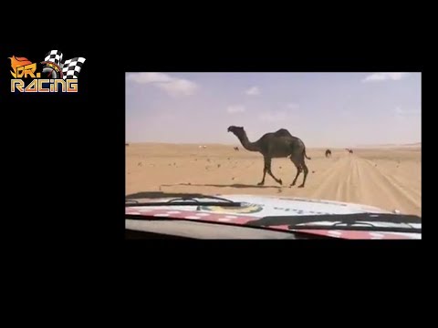 7ma Etapa Equipos Peruanos Dakar 2020