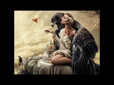 download lagu mp3 mp4 La Leyenda Del Condor, download mp3 La Leyenda Del Condor free download, download mp3 La Leyenda Del Condor