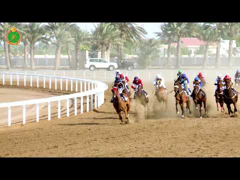 الشوط الثالث - السباق الثالث- 02/11/2018 - Race 3 3rd meeting