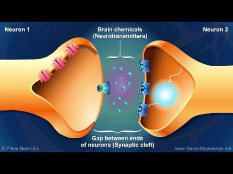 Zrozumienie procesów biochemicznych mózgu