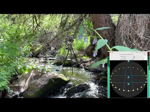Ambisonic Environments: Forest - Manipulating Ambisonics