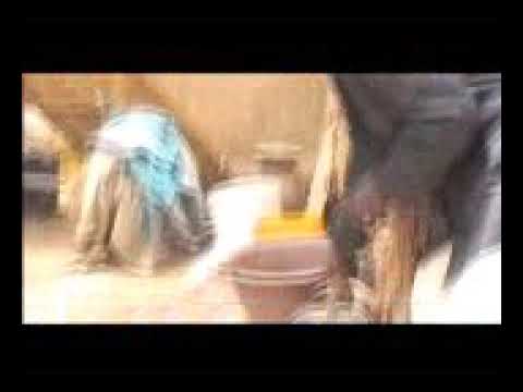 samba soninke movies miskene