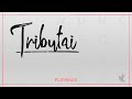 Ministério Zoe Tributai Playback