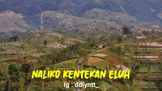 Download lagu Story WA/IG - Wong Sepele mp3