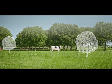 Zanetti SpA corporate social responsibility
