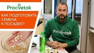 рассада баклажанов и перцев видео. Смотреть фото рассада баклажанов и перцев видео. Смотреть картинку рассада баклажанов и перцев видео. Картинка про рассада баклажанов и перцев видео. Фото рассада баклажанов и перцев видео