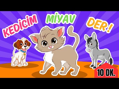 Kedicim Miyav Miyav Der | 10 Dakika |  Eğlenceli Çocuk ve Bebek Şarkıları  | Hey Minik Yıldız
