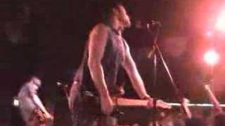 The Ducky Boys - "These Are The Days" (live)