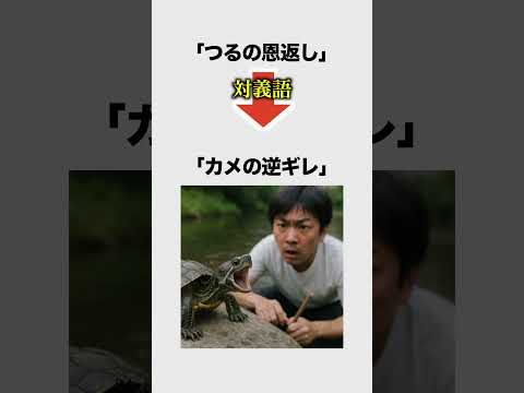 【替え歌】名作を対義語にしたらヤバすぎたwww #ほーみーず  #あるある  #珍事件  #放送事故