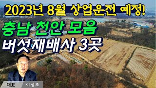 [충북 천안]  버섯재배사 모음 | 23년 8월 상업운전 예정