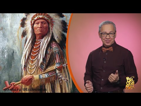 Всё обо всём. Бахрома. Выпуск от 28.11.25