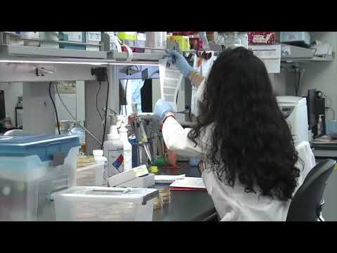 Bristol Glen COVID 19