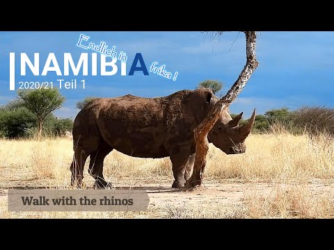 Namibia Roadtrip [1] - Windhoek and Waterberg