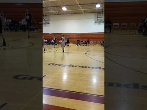 Michigan mustangs 14u  2017