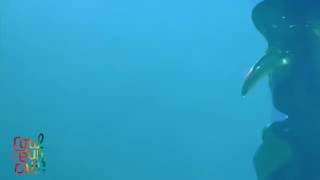 Claptone: Marshall Jefferson - Move your body (Skapes Rework) (Live at Couleur Café 2016)