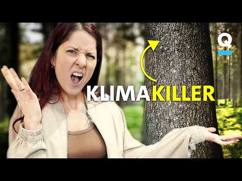 Neue Studie: Wälder als CO2-Schleuder?! | Studio Q