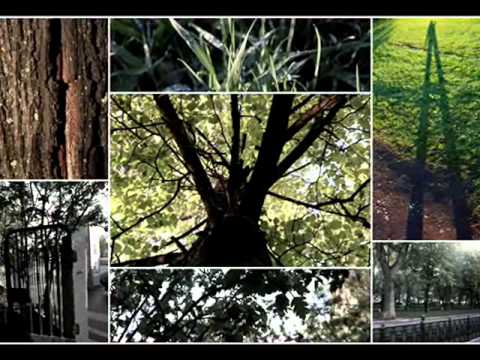 Collaboration with Moscow