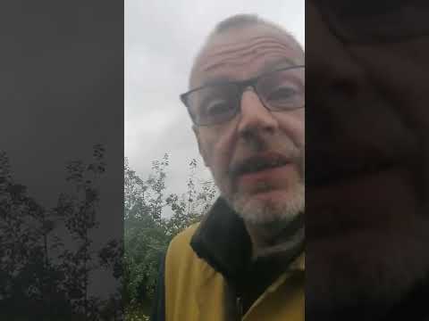 w4 first run in 15 years