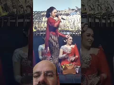 Anana Path They Apathy #india #party #thailand #thaimusic #music #reels #shorts #popular #song #love