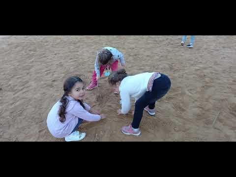 preview video