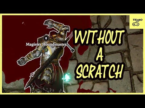 The Houndmaster Fight (Ninja Combat Tactics)  Divinity Oiriginal Sin 2