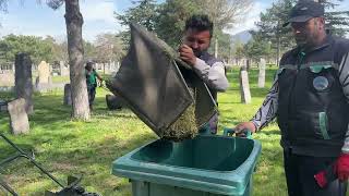 Büyükşehir Şehri Nakış Gibi İşliyor Kayseri'de Yeşil Seferberlik