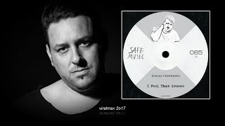 David Herrero - I Feel That Groove (Dub Mix)