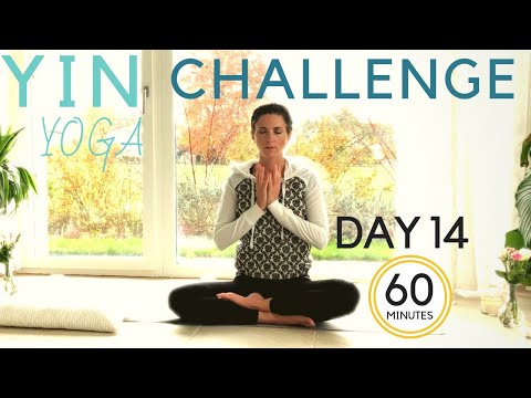 Day 14 ✨ Yin Yoga Challenge✨Body Mind & Soul Healing✨Yoga with Heather