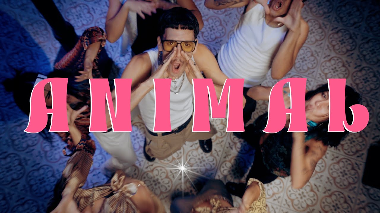 ANIMAL - Galgo Ft. REENOVENTO (Video Oficial)