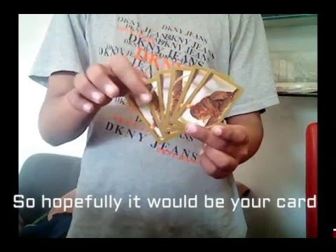 Dynamo Interactive card trick