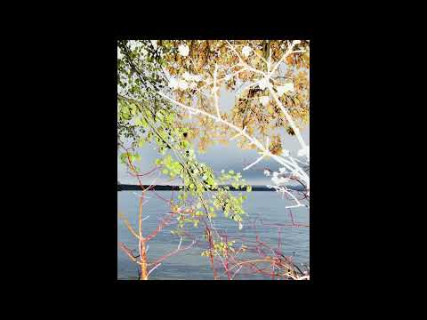 [FREE] irko + h jeunecrack + abel31 type beat - "surf" (p. 6min)