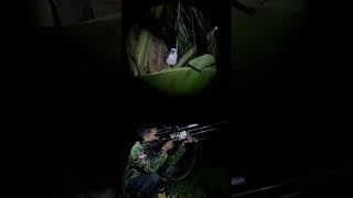 Download lagu Berburu Ruak-ruak Sawah Di Malam Hari #hunting #berburu #shorts mp3