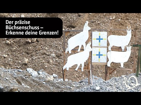 Der präzise Büchsenschuss – Erkenne deine Grenzen!