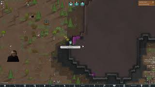 Video 2