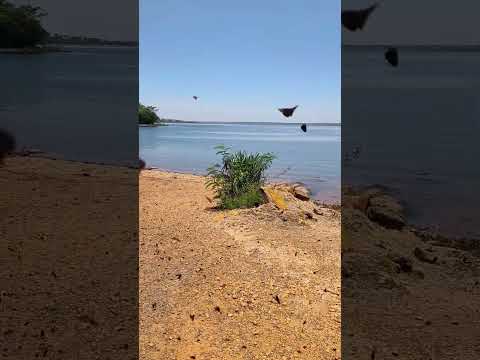 Divisa Mato grosso minas gerais rio Parnaíba